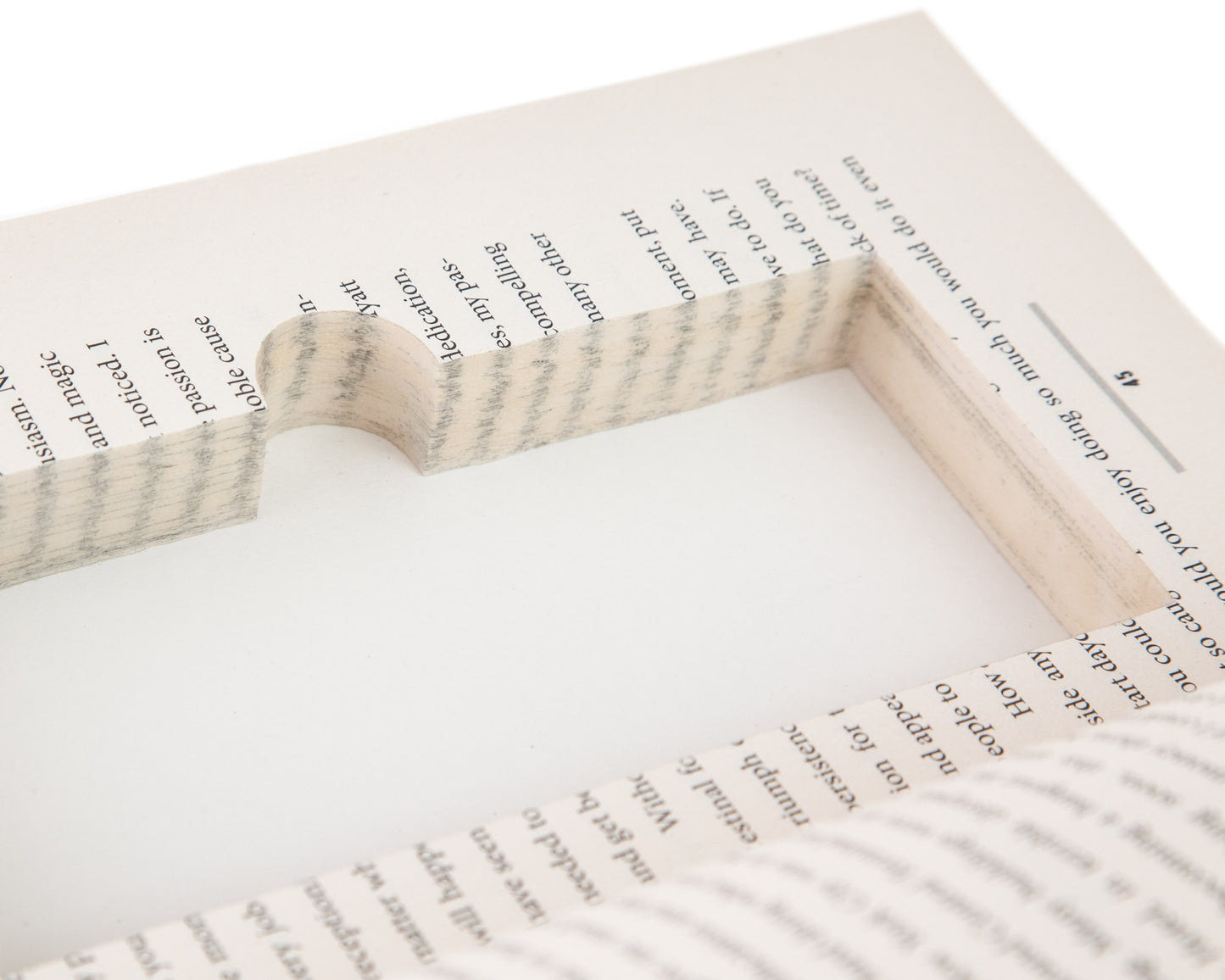 Real-Book Cash Box with Magnetic Closure (Titles Vary)