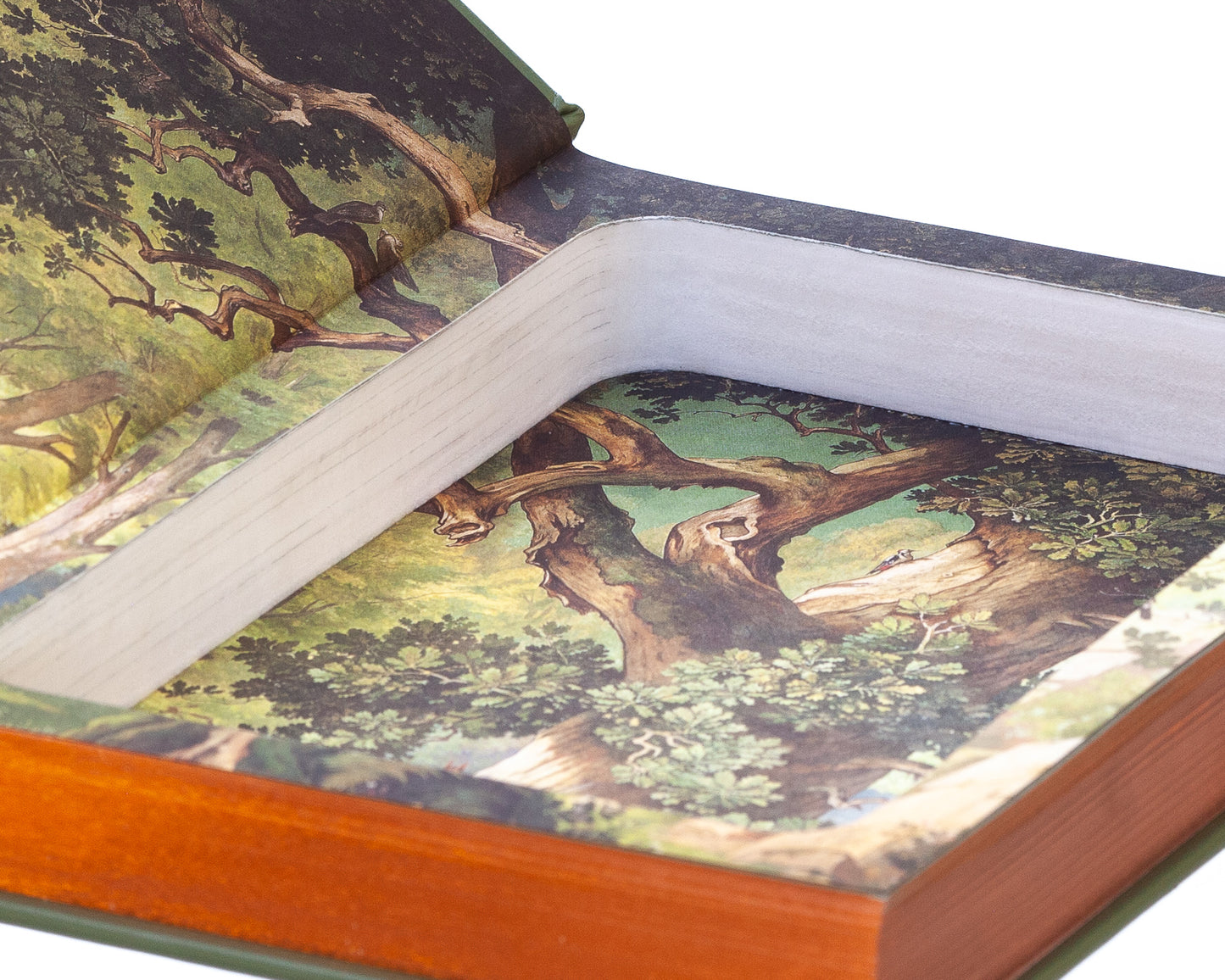 Hollow Book Safe: The Merry Adventures of Robin Hood by Howard Pyle (Leather-bound)