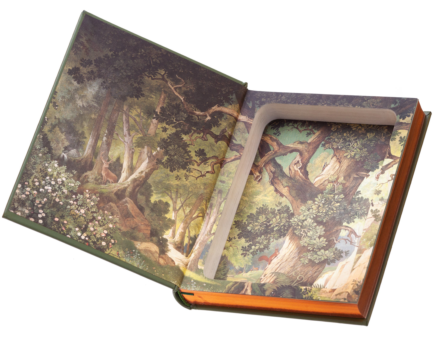 Hollow Book Safe: The Merry Adventures of Robin Hood by Howard Pyle (Leather-bound)