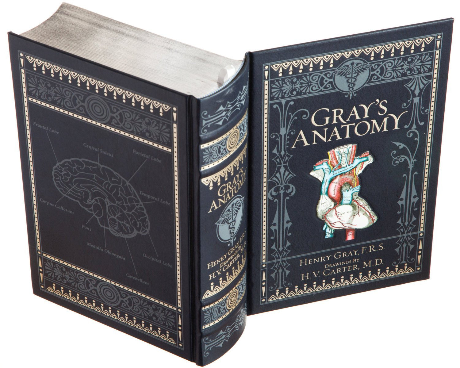 Hollow Book Safe: Gray's Anatomy by Henry Gray, F.R.S. with Drawings by  H.V. Carter, M.D. (Leather-bound)